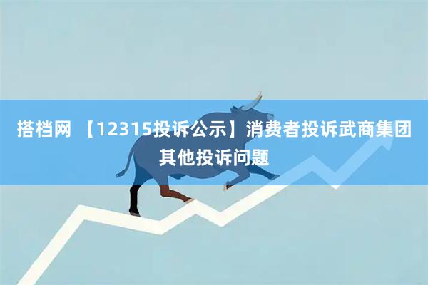 搭档网 【12315投诉公示】消费者投诉武商集团其他投诉问题