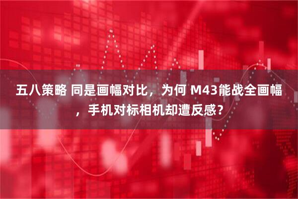 五八策略 同是画幅对比，为何 M43能战全画幅，手机对标相机却遭反感？
